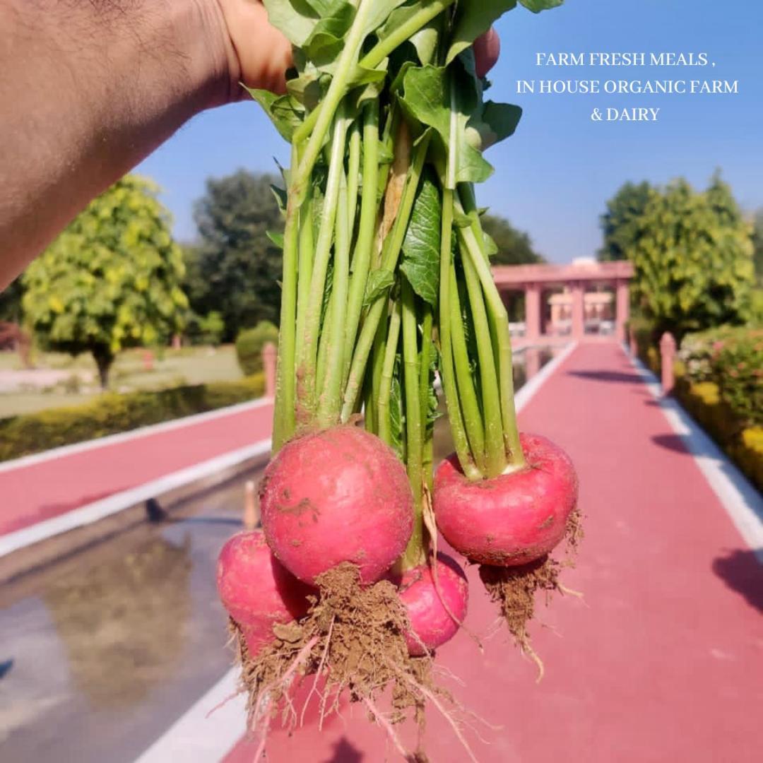 Umaid Palace - A Lakeside Heritage Palace Resort Near Jaipur Close To Bhangarh & Chand Baori Stepwell Abhaneri Dubbī المظهر الخارجي الصورة